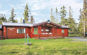 Nice Home In Sjusjøen With House A Mountain View